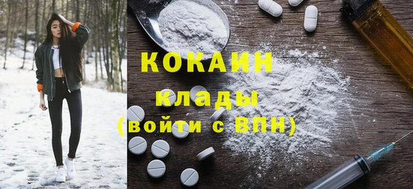 крисы Ельня