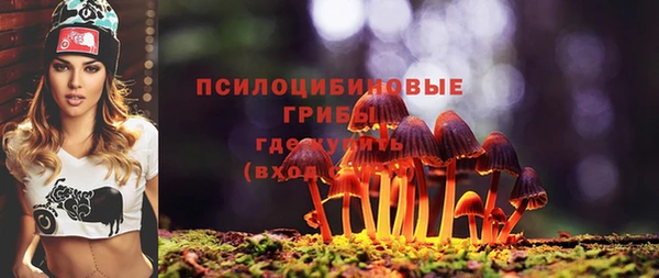 MESCALINE Баксан