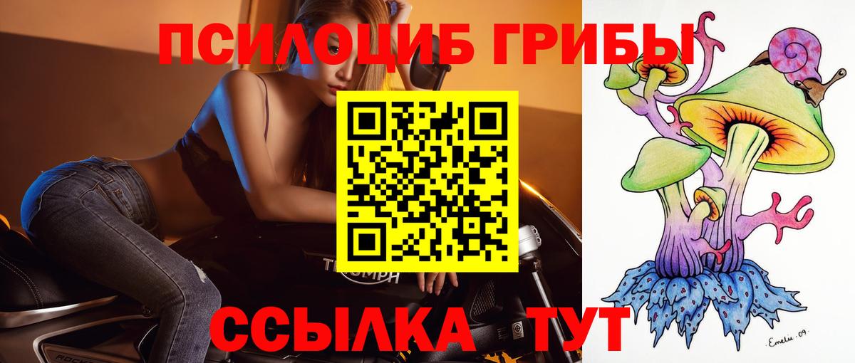 Галлюциногенные грибы прущие грибы  Псилоцибиновые грибы Psilocybine cubensis  Ногинск  Вход с VPN 