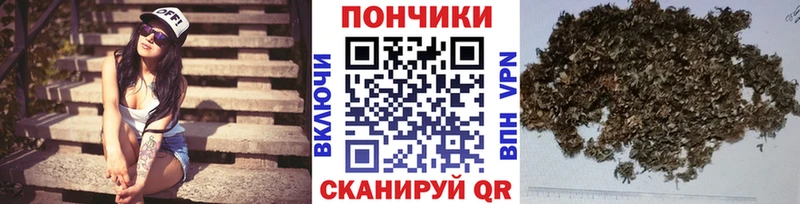 где можно купить   кракен как зайти  Бошки марихуана ГИДРОПОН  Ногинск 